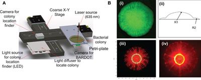 Petri-plate, bacteria, and laser optical scattering sensor